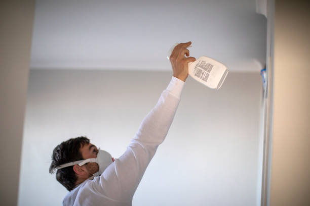 Best Mold Cleaning Services  in Roanoke, IN