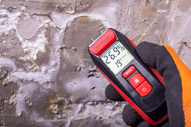 Best Commercial Mold Removal  in Roanoke, IN
